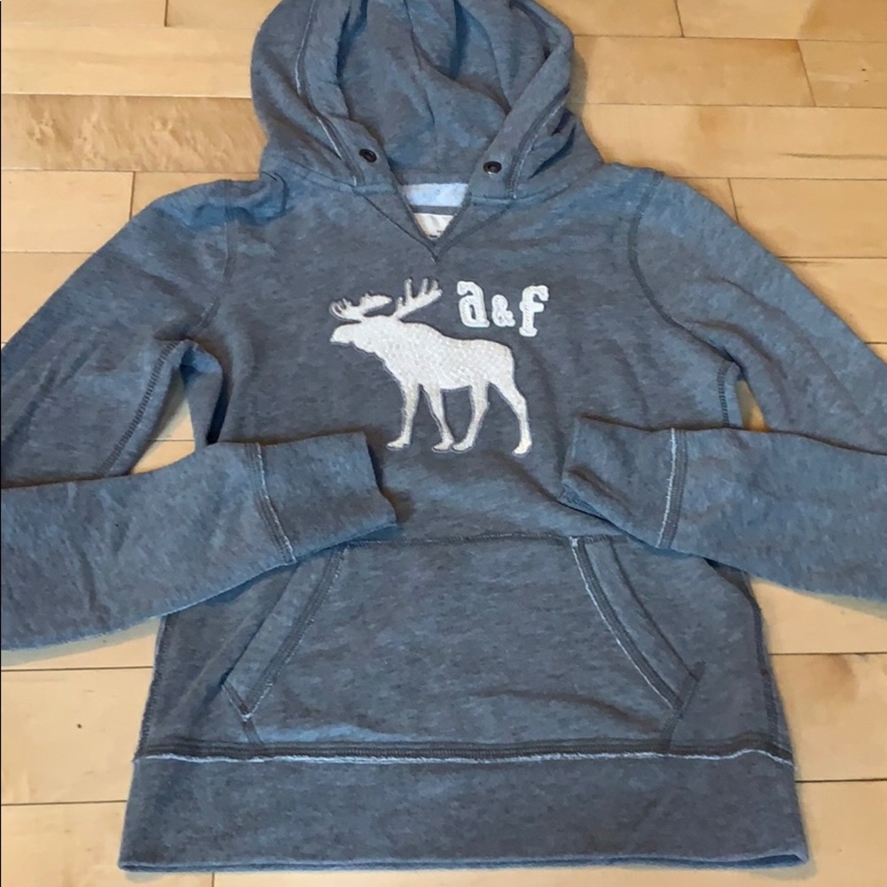 Abercrombie sequin moose logo hoodie
